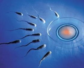 未婚女性海南三代试管真实经历，龙岩到慈铭博鳌全流程（附2026费用）