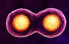 哈萨克斯坦第三代试管婴儿机构查询