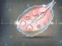 高龄助孕满足条件才能开展，助孕生子条件汇总一览