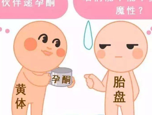 空腹粘连在马来西亚做三代试管的费用贵吗？费用明细是怎么样的？