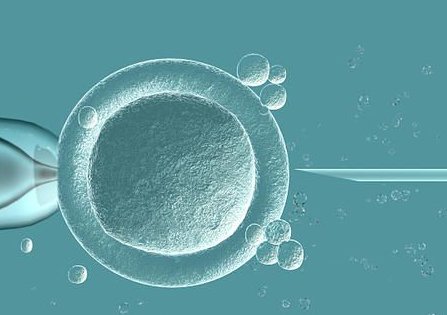 如何在北京选择合适的试管婴儿医院与方案？