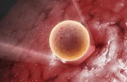 正规试管医院选口碑好的——鹤岗，来看看鹤岗有哪些正规且口碑好的医院